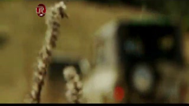 Неизвестный Кавказ: Тайна могилы великанов смотреть онлайн