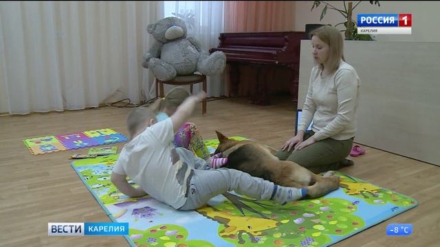 Кто может получить президентский грант и что для этого нужно смотреть онлайн