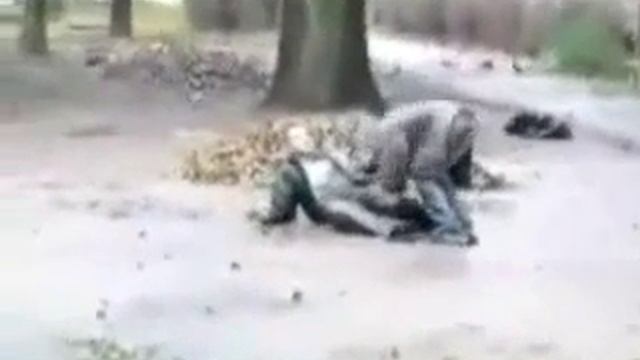 Два пьяных мужика не могут встать смотреть онлайн