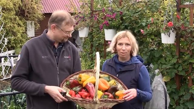 Перцы, баклажаны и капуста от фирмы "Партнёр". Собираем урожай. смотреть онлайн
