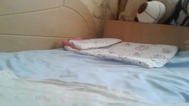 Дневной сон Баса! смотреть онлайн