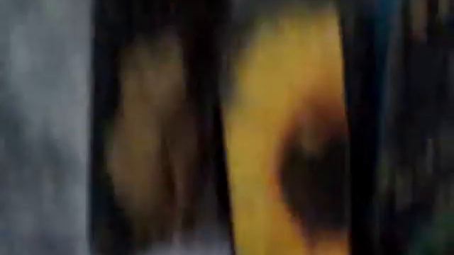 "Питательная среда" на фестивале "Внутри тишины" смотреть онлайн