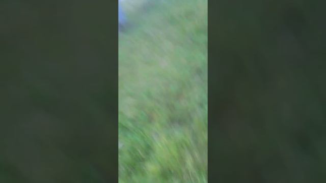 слежка за левой девкой смотреть онлайн