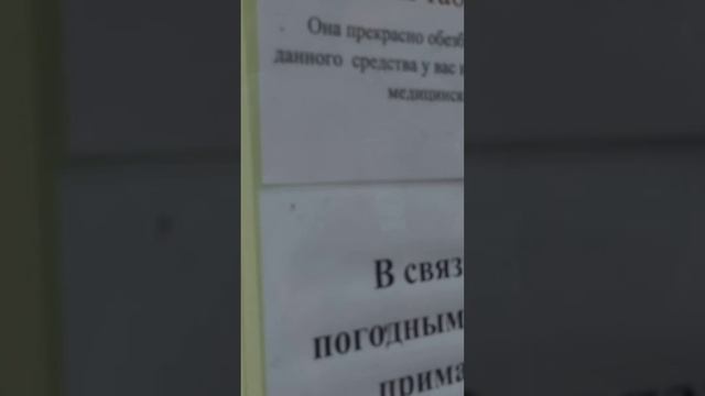 ВЛОГ в Ижевске Городской зоопарк 1 часть смотреть онлайн