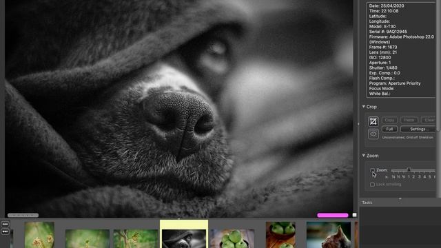 7 Artisians 35 F1.2mm - Резкость (примеры) смотреть онлайн