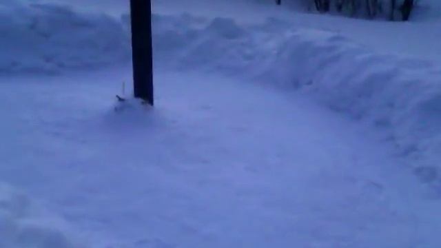 31января 2017 года.mp4