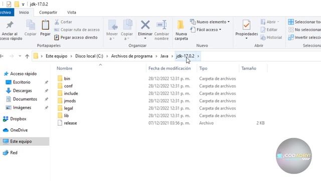 Instala correctamente el OpenJDK y NetBeans para programar en Java ☕ en Windows 10 смотреть онлайн