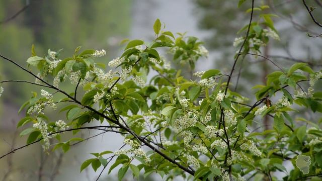 Добро пожаловать в Башкортостан. Шульган-Таш смотреть онлайн