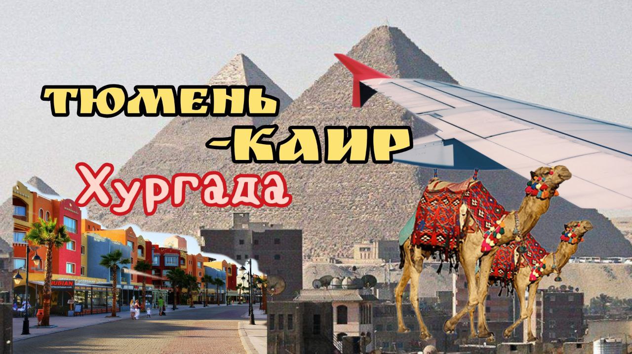 Дорога Тюмень -Каир -Хургада 8,5 часов в автобусе . Октябрь 2021г смотреть онлайн