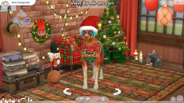 Sims 4 Готовый Питбуль смотреть онлайн