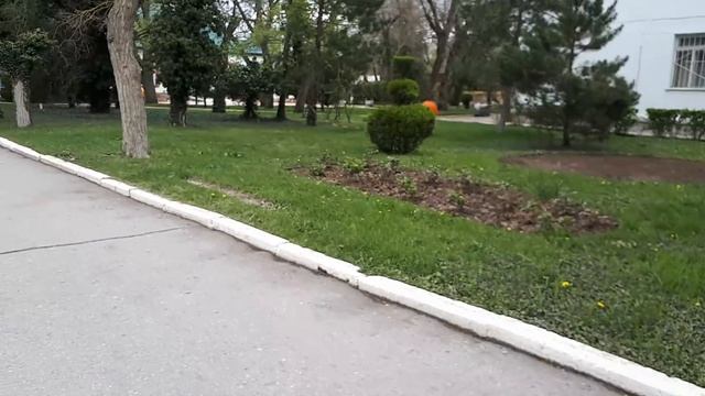 ТЕПЕРЬ НА ЗАНЯТИЯ БЕЗ КОЛЯСКИ! /СДЕЛАЛИ РЕНТГЕН КЛЮЧИЦЫ. ОБЪЯСНЯЮ, ЧТО У ЯРИКА С СУСТАВАМИ смотреть онлайн