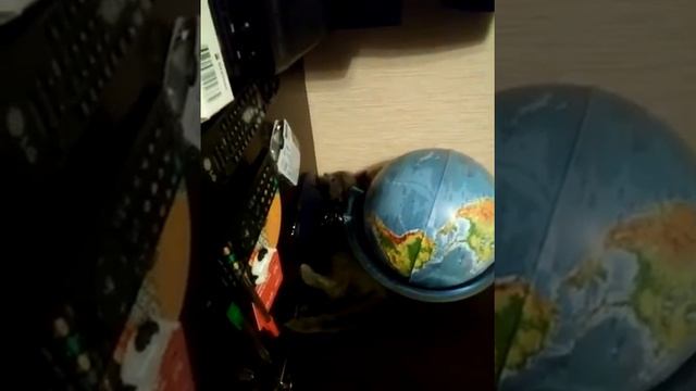 Характер Русских Голубых котят!!! смотреть онлайн