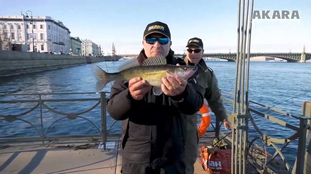 Стритфишинг. Рыбалка на Неве в самом центре Санкт-Петербурга. смотреть онлайн