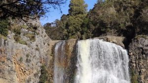 Европа или Новая Зеландия? | Жизнь в Новой Зеландии