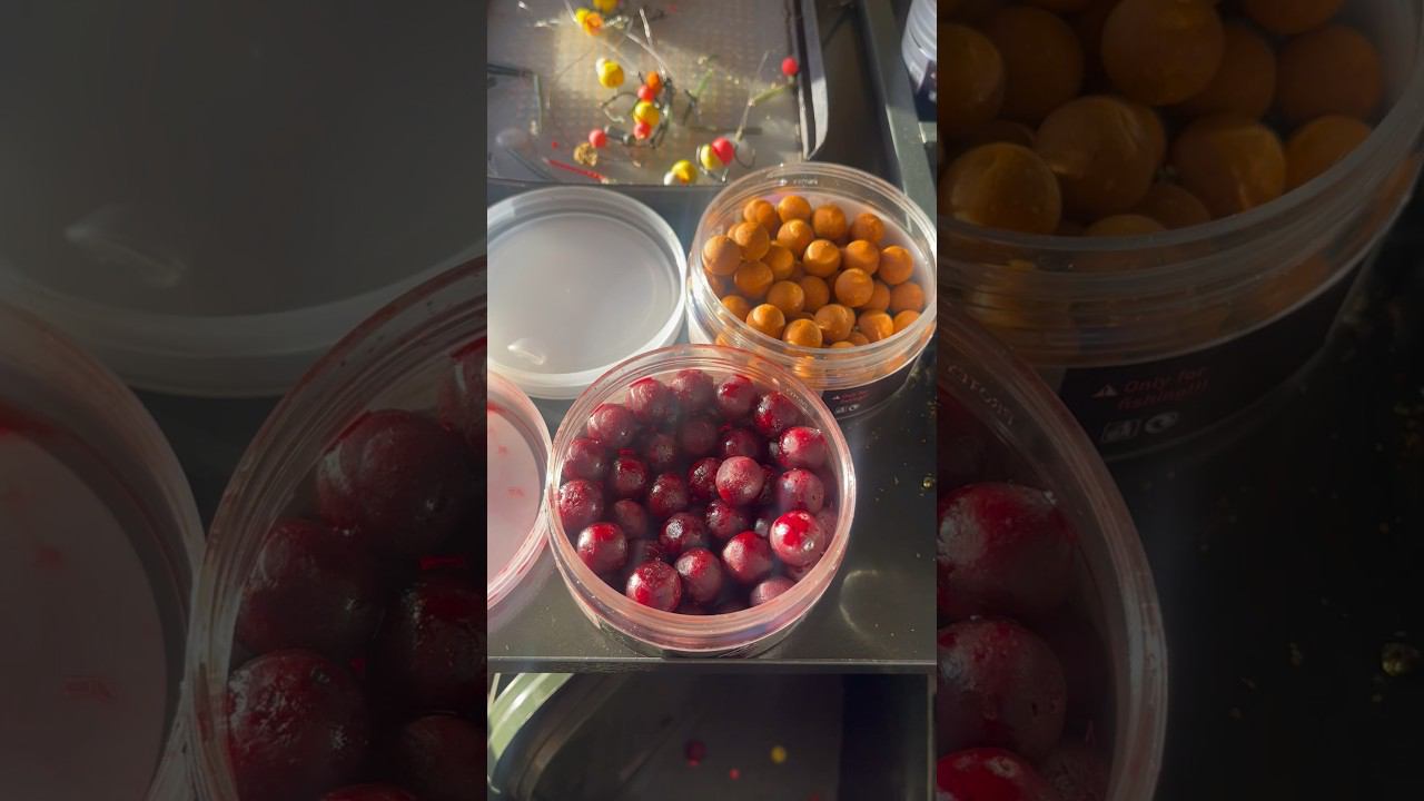 Секреты ловли карпа ночью! смотреть онлайн