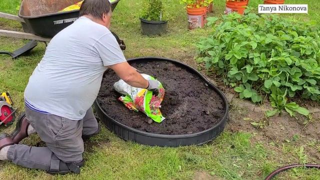 Высадили АРБУЗ И КАБАЧОК в одну грядку. Выращивание кабачков на компостной куче. смотреть онлайн