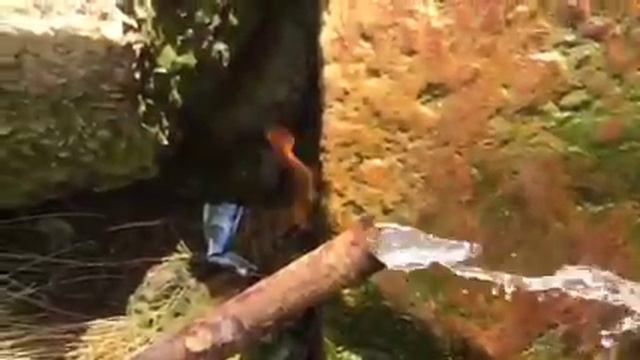 Источник "горящей" воды смотреть онлайн