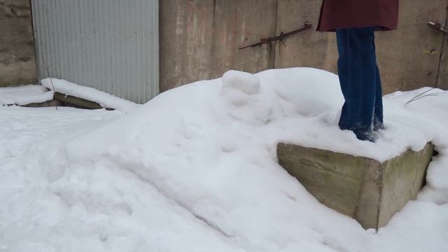 Изучение городского двора - первый этап создания сада в городе! смотреть онлайн