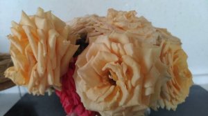 Розы в Подмосковье. Ещё раз о розе Шукрани...