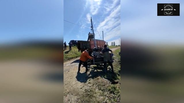 Зарыбление карпом 18.05.2022 пруд "Дальний Раг" смотреть онлайн