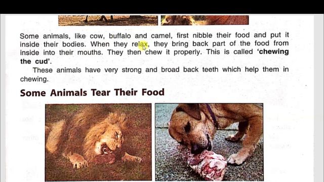 Feeding habits of animals, EVS, Science, Class III, DAV, chapter 6, My Living World, DAV School смотреть онлайн
