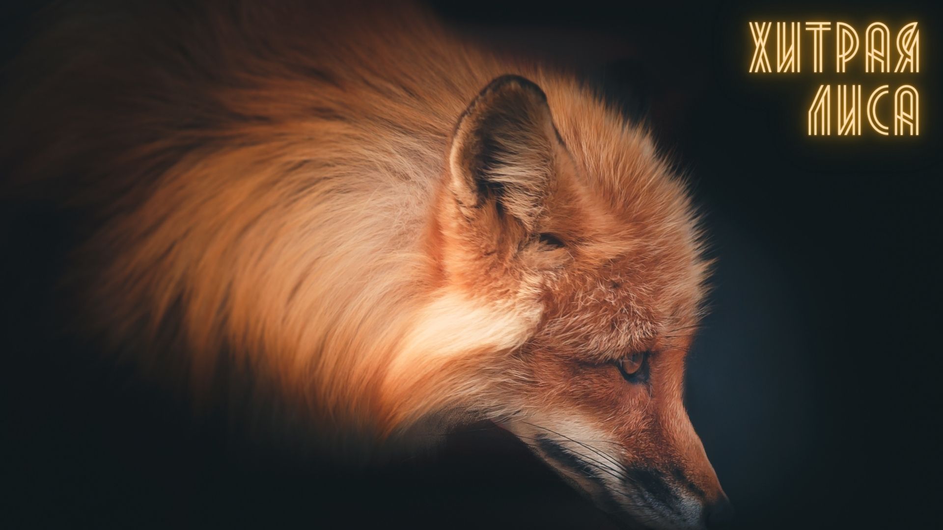 Старая Лиса | Аудио Сказка