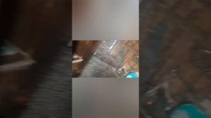 Не горят туманки Ваз 2110. Ищем неисправность...