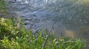 Рыбалка в Пятигорске на реке Подкумок. 14 мая 2021 год