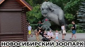 НОВОСИБИРСКИЙ ЗООПАРК / ПУТЕШЕСТВУЕМ ПО РОССИИ