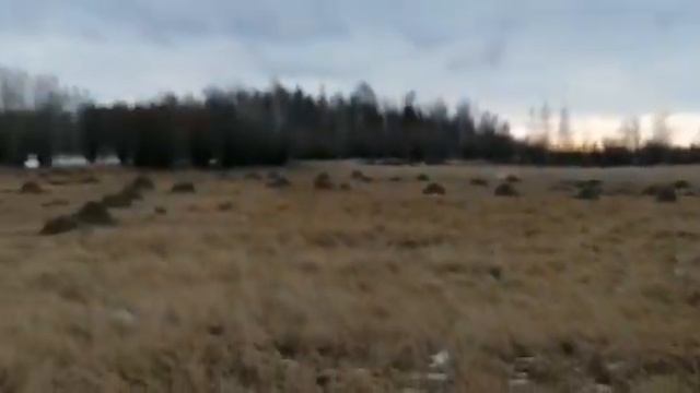 Самый долгий сенокос в Нюрбе смотреть онлайн