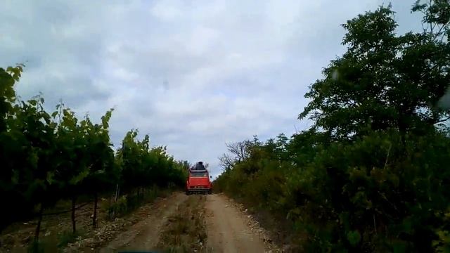 Passeio de 2CV pelas vinhas смотреть онлайн