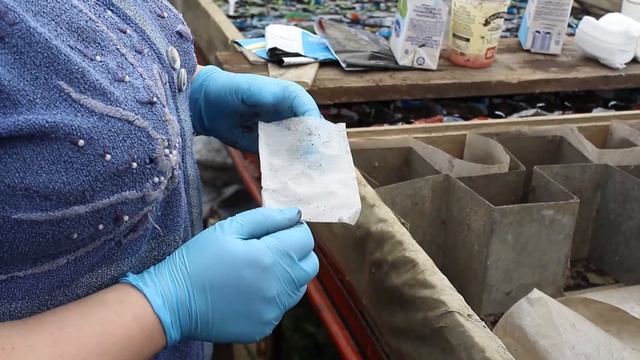 Стаканчики для посадки растений смотреть онлайн