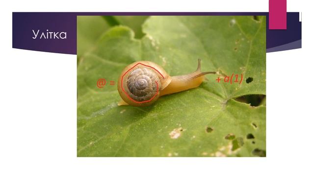 Знаки письма и их толкование смотреть онлайн