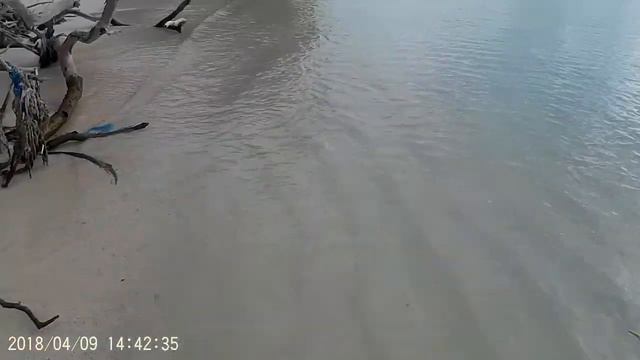 09.04.2018 Мальдивы , о-в Ган , прогулка в южную часть острова, скат у берега смотреть онлайн