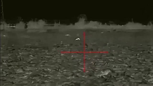 Термален прицел IRay Geni лов с издебване хищник 202м трипод BOG смотреть онлайн