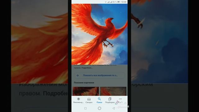 Лев ето телец#кот ето лев и дева#феникс ето блезнеци и овен# смотреть онлайн