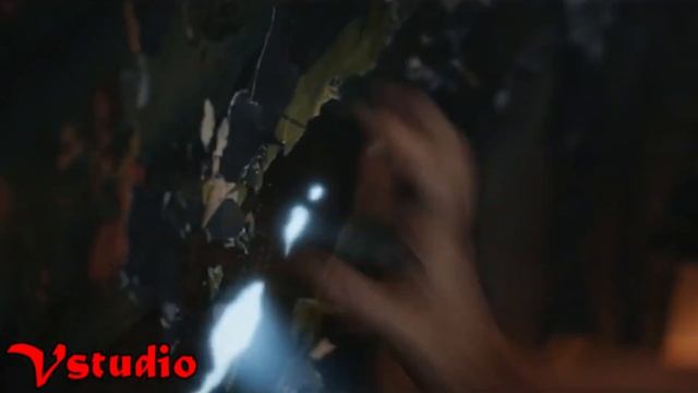 Птица залетела в окно - примета хорошая или плохая