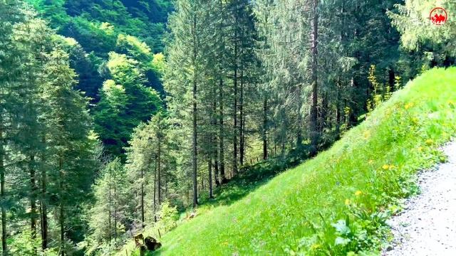 Switzerland - Breathtaking Nature & Vibes | Appenzell Innerrhoden _ Swiss Alps