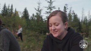 Варварство по закону   Санитарные рубки в Хабаровском крае