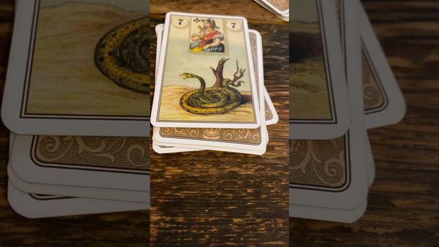 Онлайн гадание «Почему ты появился именно в этом роду?» смотреть онлайн