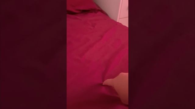 Способ приучить пони! смотреть онлайн