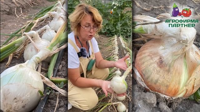 Учим Ремонтировать