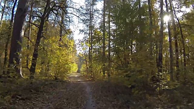 Велопуща осень 2014 смотреть онлайн