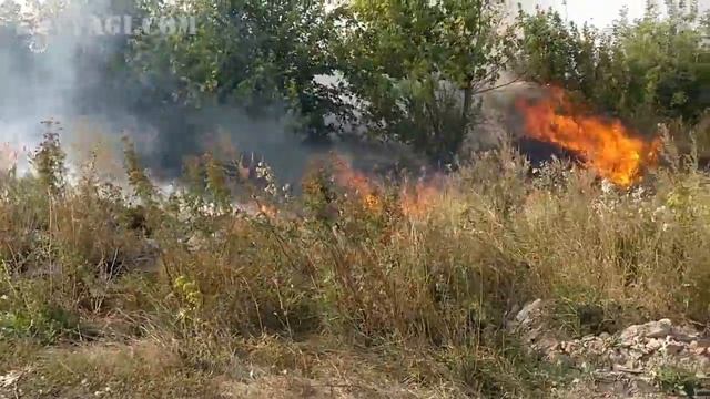 Пожар возле заправки Аврора смотреть онлайн