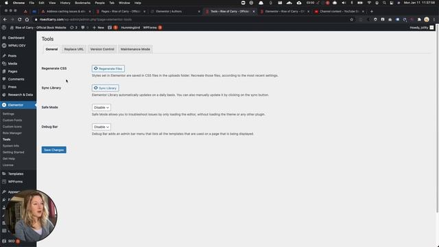 Elementor Pro for WordPress: how to fix it when page styles disappear смотреть онлайн
