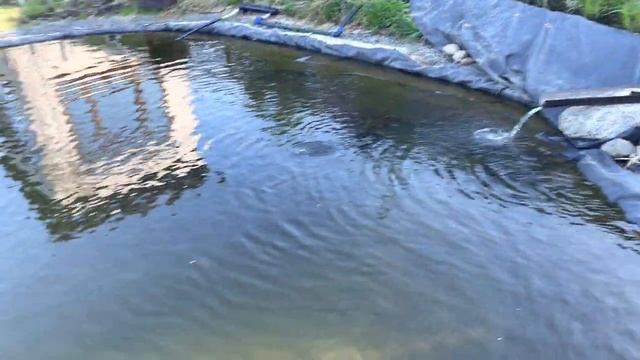 Пруд готов приносить удовольствие смотреть онлайн