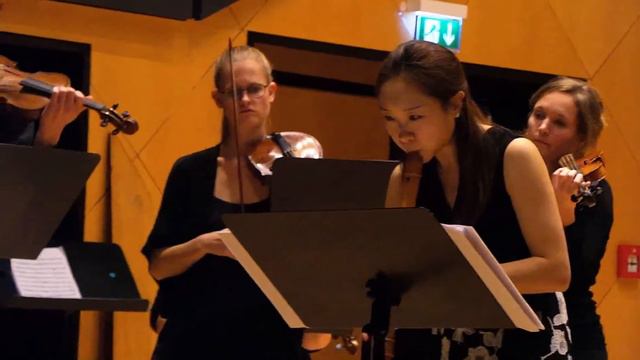 G.Ph.Telemann - Concerto in F Major for recorder, TWV 51:F1 смотреть онлайн