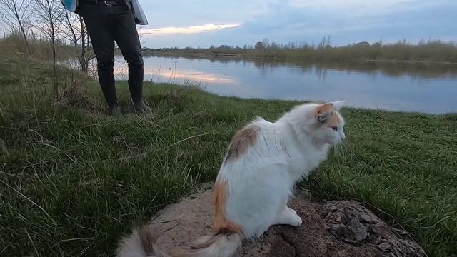 СЕМЬЯ ИЗ ЛЕСА: Живём в палатке на Немане. Часть 3 смотреть онлайн