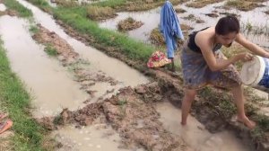 Удивительные Красивые девушки рыбалка в Баттамбанг Камбоджа Традиционное рыболовство (# 12)