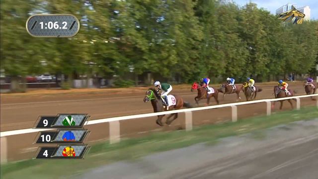 11-я Скачка. Приз Центрального Московского ипподрома. ЦМИ 3 сентября 2022 смотреть онлайн